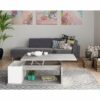 telechargement_9_b599bda8-1078-4f5f-b2ef-d7c663650cbe Table basse plateau relevable avec coffre DESPACITO Imitation béton et blanc